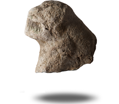 STATUE OF ANIMAL HEAD